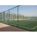 Plastic Coating Flat Surface Metal Chain Link Fence for sale
