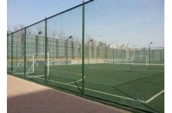 China Plastic Coating Flat Surface Metal Chain Link Fence supplier