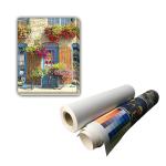 Matte Surface Polyester Inkjet Print Fabric Acid Free 260gsm