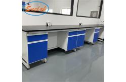 China Practical Wall Bench Laboratory Acid Resistant Multipurpose Antirust supplier