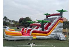 China PVC Stripes Double Lane Water Park Games Slide With Pool supplier