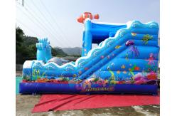 China Water - Proof  Tarpaulin EN71 Inflatable Bouncer Slide supplier