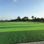 60mm High Soccer Grass Artificial Grass Carpet Surface Football Grass DIY turf for sale