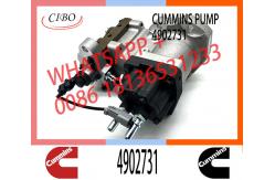 China Neutral Fuel Diesel Injection Pump 2872930 3977327 4902731 For Cummins ISLE Engine supplier