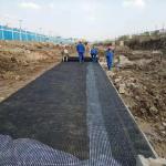 200-200KN/M Polyester Geogrid Woven Coated Warp Knitted Soft Soil Foundation