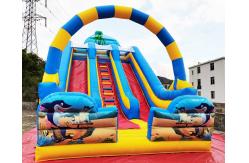China Ocean World Dual Lane Commercial Inflatable Water Slide supplier