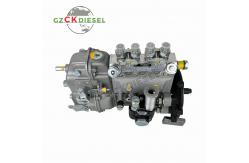 China Fuel Injection Pump 101402-8290 101041-8900 for 4BG1 Engine supplier