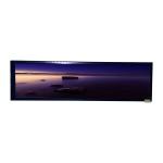 Original HSD088KPW1-A10 8.8 Inch 1920*480 Full View Stretched Bar LCD Screen for sale
