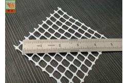 China 280g/Sqm White Plastic Food Netting For Drying , Polyethylene Mesh Netting supplier