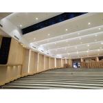 2/2/0.5mm 4'x8' Auditorium Microperforated Wooden Sound Absorbing Wall Acoustic Panels for sale