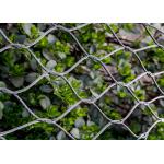 Silver Stainless Steel Woven Mesh , 304 Stainless Steel Woven Wire Cloth
