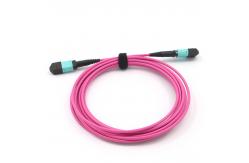 China Multimode OM4 Magenta Mpo Optical Cable 2m 850nm 12 Core supplier