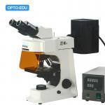 OPTO-EDU A16.2601-B2 Fluorescent Microscope, Binocular, B/G for sale