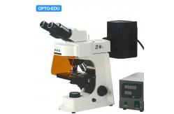 China OPTO-EDU A16.2601-B2 Fluorescent Microscope, Binocular, B/G supplier