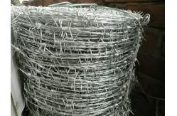 China Anti Theft Antirust Stainless Steel Barbed Wire Easy To Clean 12 Gauge supplier