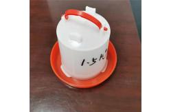 China 1.5L Poultry Bucket Drinker For Baby Chicken Broiler Layer Breeder supplier