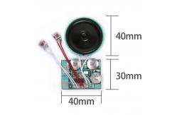 China ODM OEM Audio Recordable Sound Module With Speaker PCB Board supplier