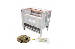 China HDF1000 Output 1000kg/H Yam/Taro/Lotus Root Peeling Machine Carrot Washing Machine supplier