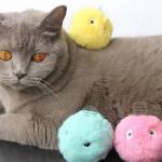Pet Toys Interactive Pet Chew Eva And Plush Squeaky Balls For Cats for sale