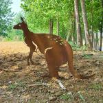 Corten Steel Rust Outdoor Metal Accessories For Garden Decoration Rust-Resistant for sale