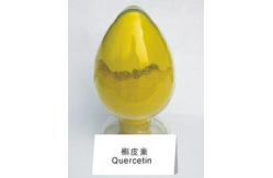 China Quercetin supplier