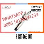 For Bosch CP4 Pump Camshaft F181463101 For 0445020517 Fuel Pump for sale