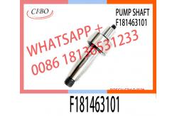 China For Bosch CP4 Pump Camshaft F181463101 For 0445020517 Fuel Pump supplier