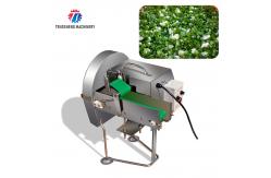 China SS304 Vegetable Processing Machine Mini Electric Tabletop Onion Slicer Food Processor supplier