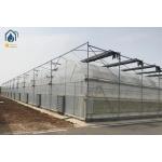 Gothic Muti-Span Tropical Plastic Poly Film Sawtooth  For Agricultural Vegetable Tomato for sale