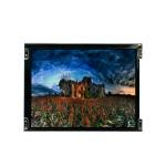 LTD104C11R 10.4 inch 262K lcd Screen display panel for sale