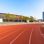15mm Thickness Sandwich System Running Track Harmless Odorless for sale