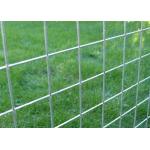 Corrosion Resistant Welded Mesh Panel with Galvanized PVC Coating for sale