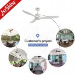 Outdoor Simple Design Waterproof ABS Blades Ceiling Fan With Remote Control