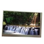 AA043MA01 TFT Lcd Display 4.3 inch lcd screen 800(RGB)×480 A+Grade for sale