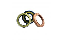 China NBR/FKM Material Hydraulic Mechanical Oil Seal / AP SEALS / Rubber Oil Seal supplier