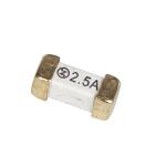 300V Ceramic Surface Mount Fuses / 2410 Fuse Time Delay Blow for sale