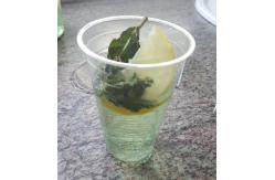 China Custom Compostable Biodegradable PLA Cups 9 Oz for Restaurant supplier