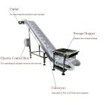 0.75KW Incline Conveyor Systems