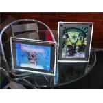 A3 A4 Acrylic LED Light Box for sale