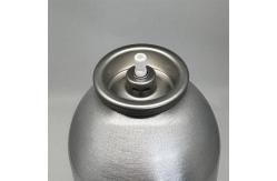 China Universal Tire Inflator Valve for Rental Car Companies with Adaptable Design supplier