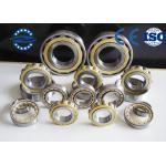 Original CNZH NJ202E Cylindrical Roller Bearing With Single Row / Double Row