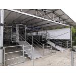 Dairy Farm Equipment Sheep Herringbone Milking Parlor With Glass Measuring Bottle for sale