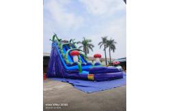 China Marble Wall Mushroom Kingdom Inflatable Water Slides With Pool supplier