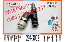 China C13 Engine Common Rail Fuel Injector 294-3002 10R-6162 249-0708 supplier