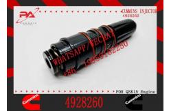 China fuel Injector 4928260 supplier