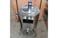 China 50L Industrial Milk Pasteurizer Machine Home Pasteurization Machine supplier