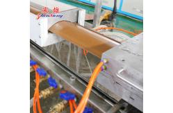 China Auto Plastic Profile Production Line Multi Shaped Wood Abs Plastic Extrusion supplier
