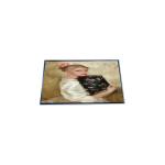 P290IAN01.0 28.6 inch 1920*540 LCD Screen Display Panel for sale