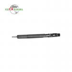 Common Rail Diesel Fuel Injector EJBR03701D 33800-4X800 for Delphi Engine
