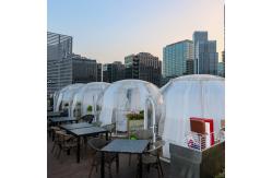 China Transparent Clear PC 6m Geodesic Dome House Igloo With Aluminum Frame supplier